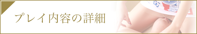 プレイ内容の詳細